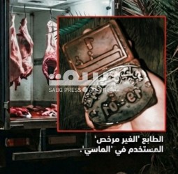 سرقة علنية: دبيحة سرية ب"الماسي" بعيداً عن الرسوم وبيع اللحوم للمراكشيين بثمن المسالخ المقننة