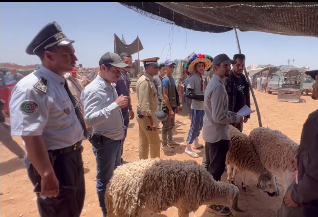 إحالة ثلاثة "شناقة" بمراكش على النيابة العامة بتهمة المضاربة في سوق المواشي