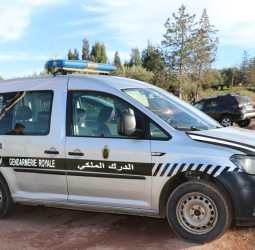 تحت إشراف رئيس مركز الدرك الملكي بستي فاضمة.. إحباط محاولة تهريب أزيد من 400 كيلوغرام من مادة “التبر” بمنطقة أوريكا