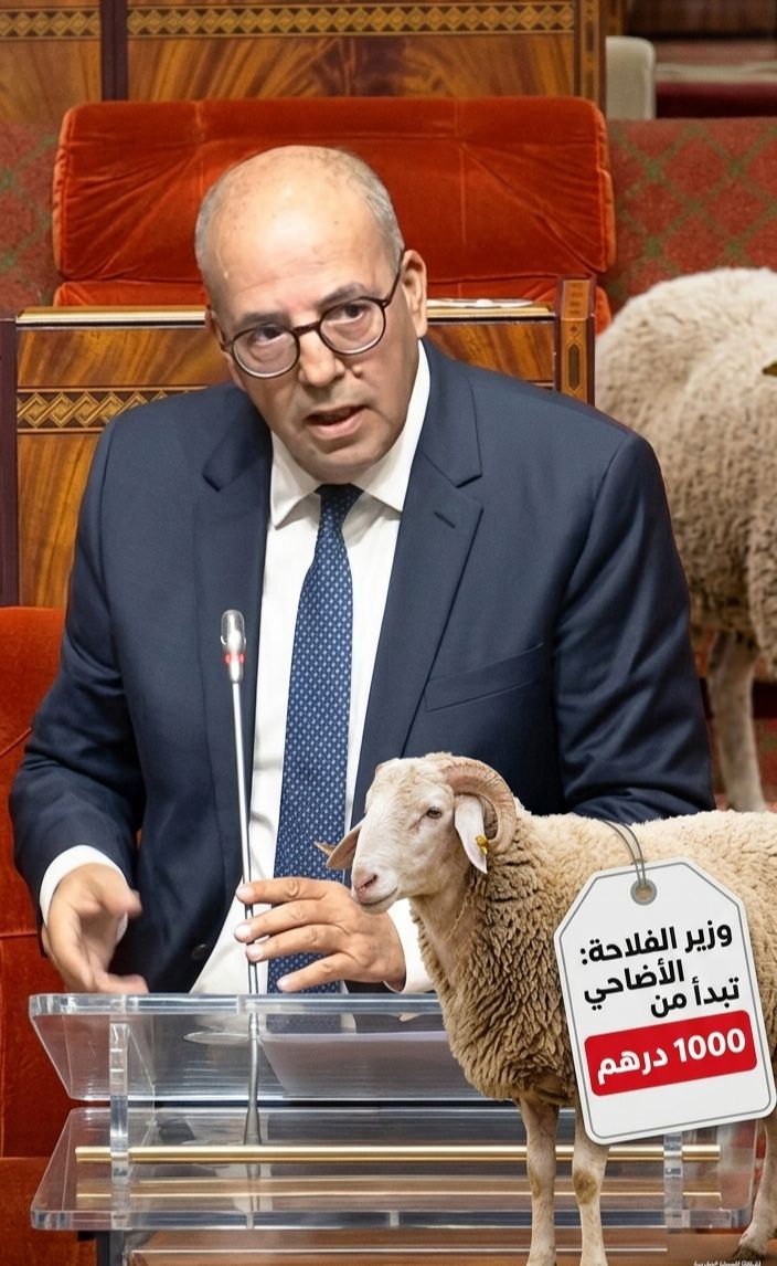"أنا تنخرج للأسواق".. تصريح وزير الفلاحة حول أضاحي "1000 درهم" يشعل "قبة البرلمان" ومنصات التواصل
