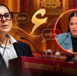 حين تصبح الهمزة مادة للمزايدة والموتور عنواناً للسخرية.. هل عجز بعض النواب عن إحراج الحكومة بالأسئلة؟