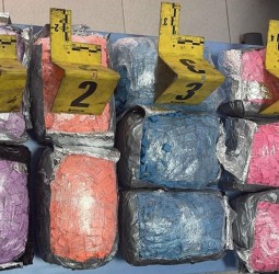 ميناء طنجة المتوسط.. إحباط تهريب 1075 قرصاً مخدراً داخل سيارة قادمة من أوروبا