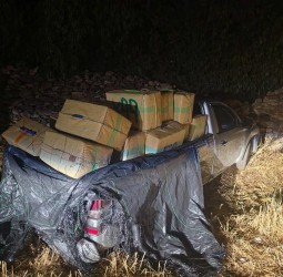 مطاردة للدرك تنتهي بتوقيف أربعة أشخاص وحجز أزيد من طنين من الكيف والطابا