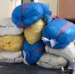 آسفي.. حجز 630 كيلوغراماً من «النفحة» وضبط سيارة بلوحات ترقيم مزورة
