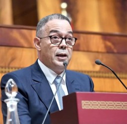 لقجع يتهم مسؤولين حزبيين بتجنيد الشباب للتضليل.. ويفتح النار على المعارضة بسبب وعود الحكومة