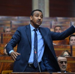البطالة أمام الحكومة الجديدة.. ماذا يستطيع عبد الرحيم شهيد أن يقدم للشباب الباحث عن العمل؟
