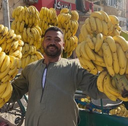 الجزائر.. جدل وسخرية بعد أنباء عن بلوغ سعر الموز 2800 دينار للكيلوغرام