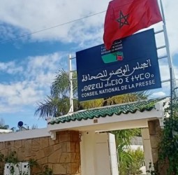 حنان رحاب تتصدر انتخابات ممثلي الصحافيين بالمجلس الوطني للصحافة.. الإعلان عن النتائج ونسبة المشاركة تقارب 50%