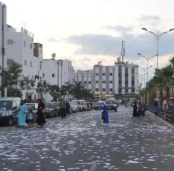 «بلا قوق بلا برقوق.. “فلان(ة)” فالصندوق».. من الحملة للفراجة: والشارع.. شكون ينقّيه؟