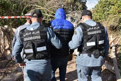 توقيف مبحوث عنه بـ 250 مذكرة في كمين محكم للدرك الملكي بالدروة