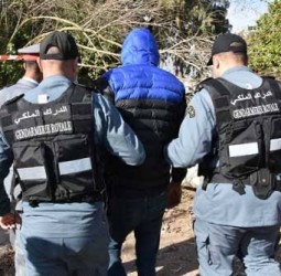 توقيف مبحوث عنه بـ 250 مذكرة في كمين محكم للدرك الملكي بالدروة